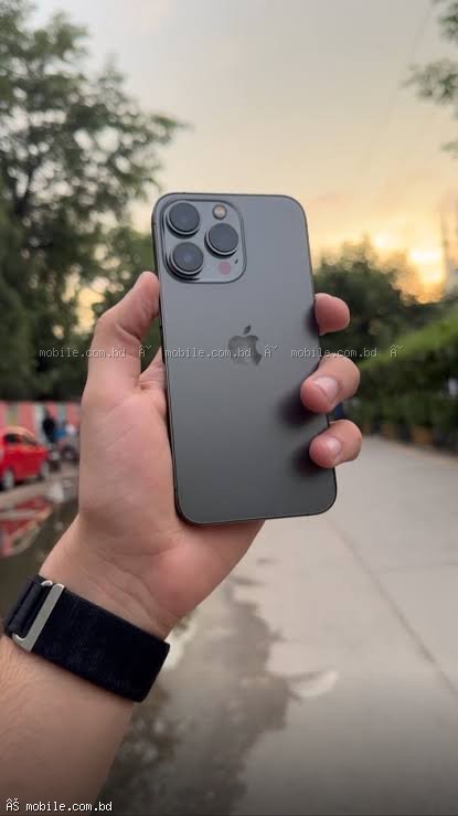 iPhone 13 pro max