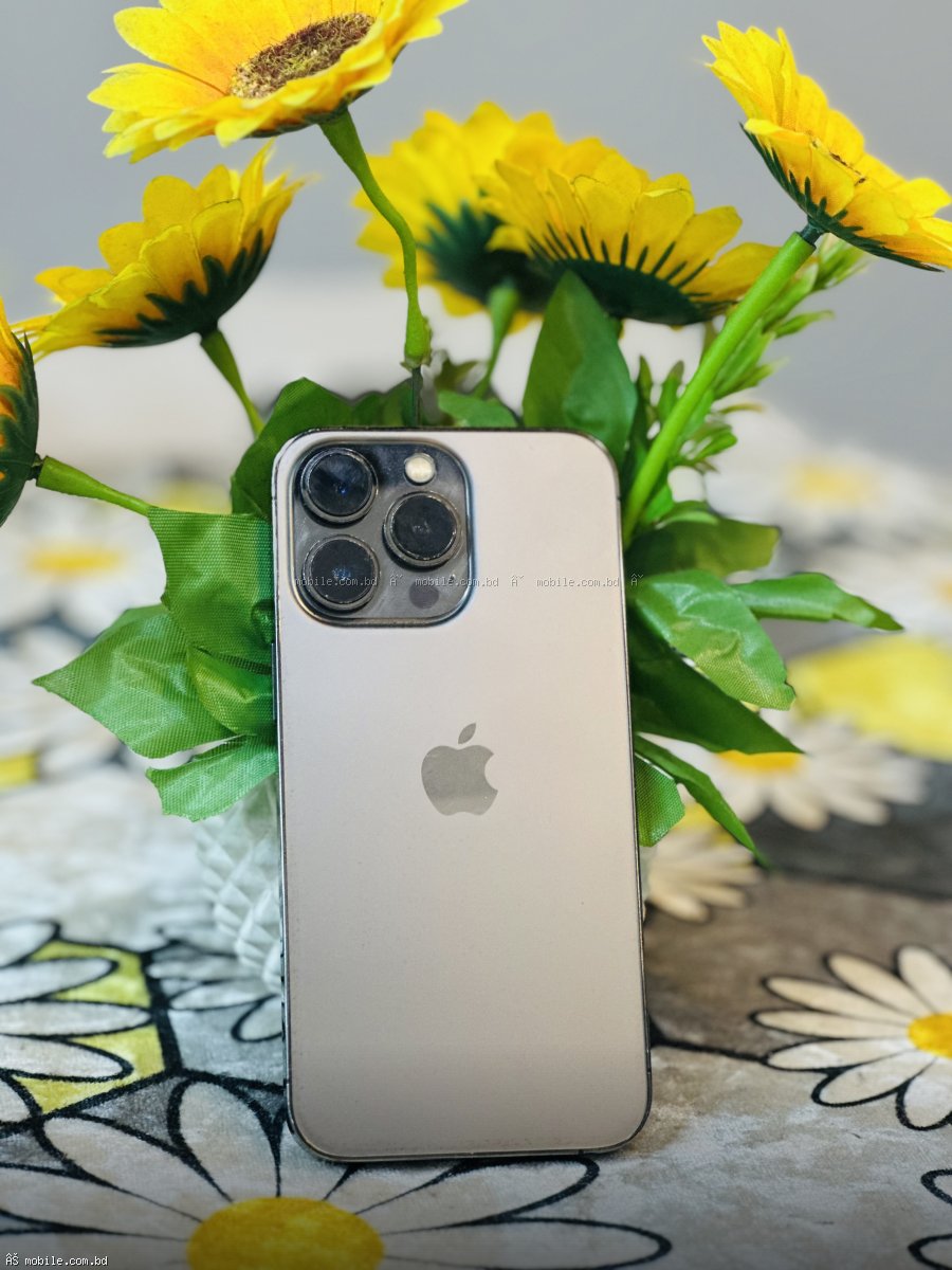 Apple 13 Pro